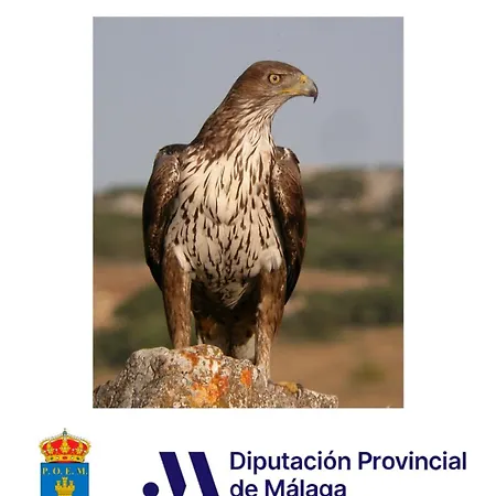 Del Fresno Montejaque