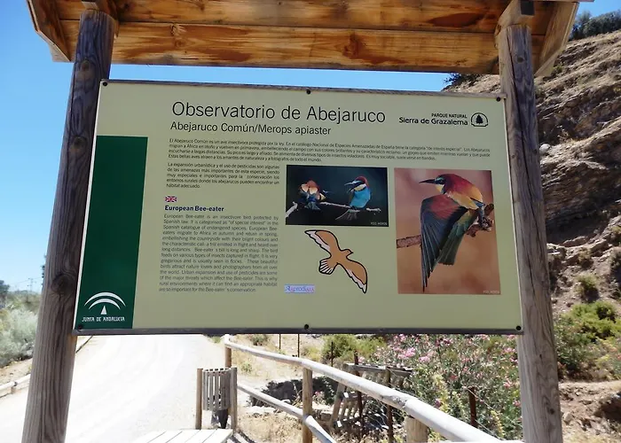 Del Fresno Montejaque